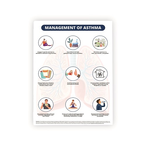 Therapy Board Management of Asthma - White Rectangular Plastic | Sturdy MDF Write & Wipe Surface Referenced Medical Content Anatomical Models Customizable