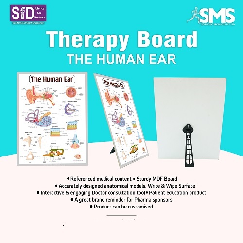 Therapy Board - The Human Ear