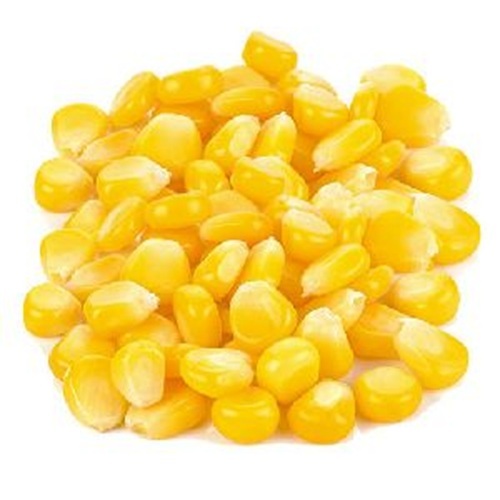 Organic Frozen Sweet Corn - Solid, Yellow | High Protein Content, Organic Cultivation, Ideal for Health-Conscious Choices