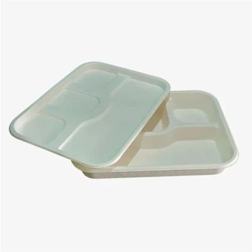 White Disposable Plate