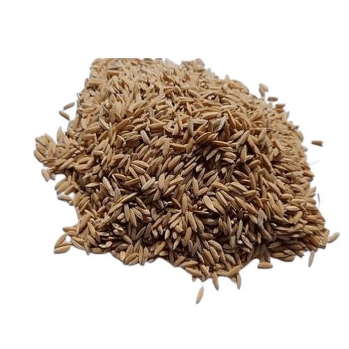 Paddy Seeds - Dried Solid, Brown Color | Natural Cultivation, Preservative-Free, Nutrient Enriched, 100% Purity, Grade A Hybrid