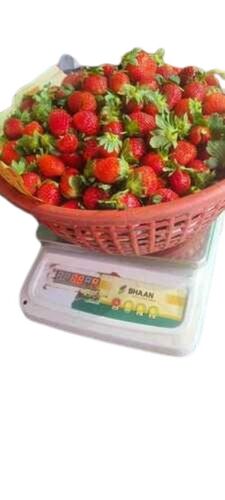 Fresh Strawberry - 100 Kilograms, Pink Color, Round Shape | Juicy Texture, Sweet Flavor, Rich Aroma, Vitamin C Rich, Low Calories, Antioxidant Packed