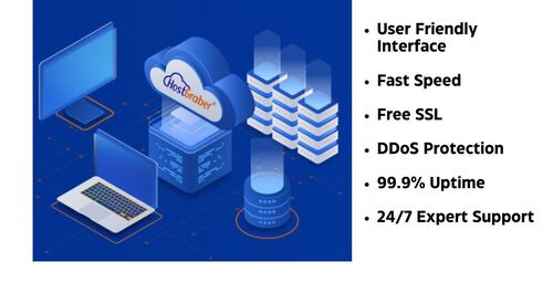 Premium Web Hosting Services