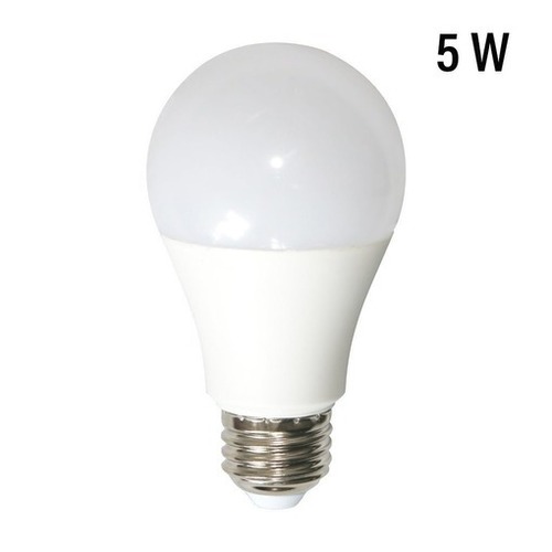 5 Watt Led Bulb