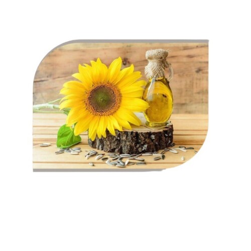 Sunflower Oil