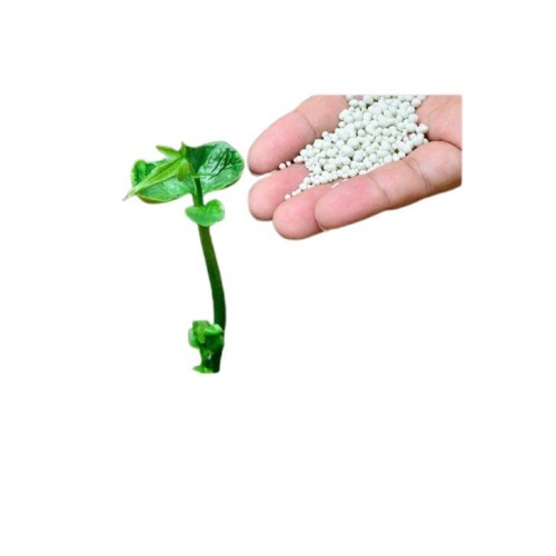 Urea Fertilizer