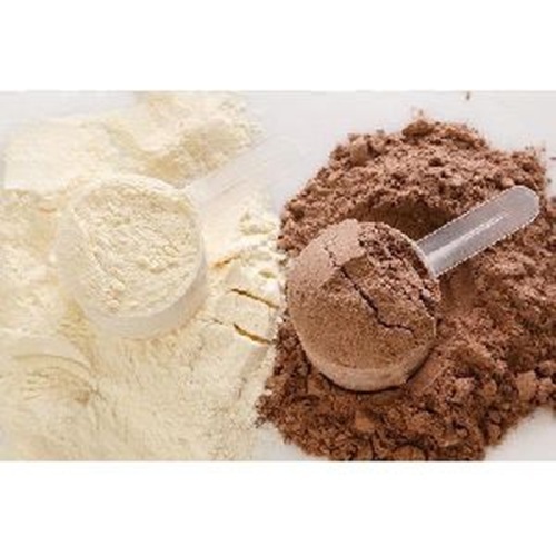 protein powder
