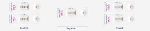 Hcg Pregnancy Test Kit - Standard Size, White Portable | Easy To Use, Accurate Result, Tested Quality