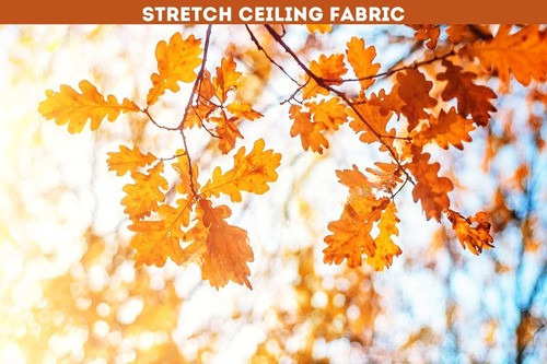 Stretch Ceiling  - Length: 100 Foot (Ft)