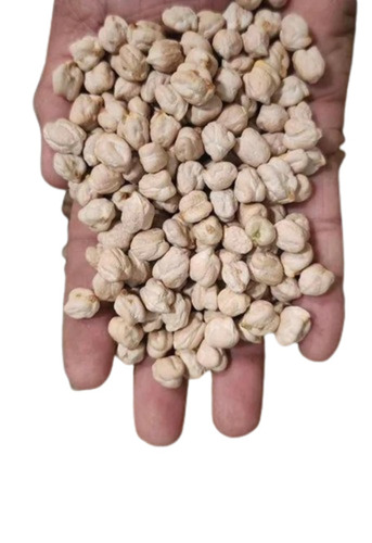 White Chickpeas 