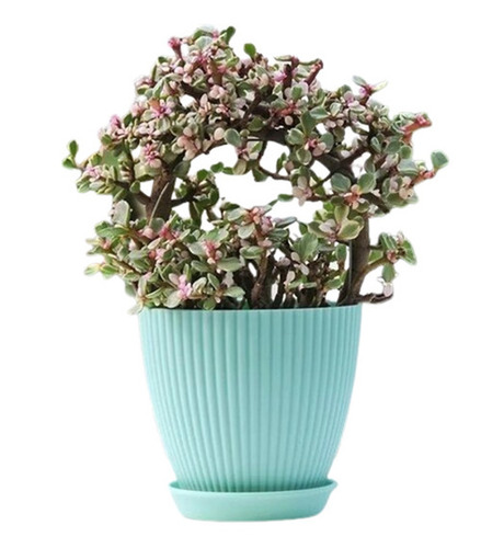 Plastic Flower Pot - Superior Quality, Portable Floor Installation | Standard Size, Sky Blue Color, Water and Weather Resistant