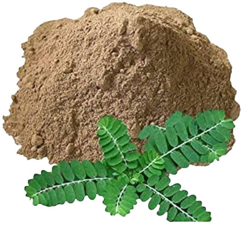 Phyllanthus Niruri Extract 1Kg - Age Group: 