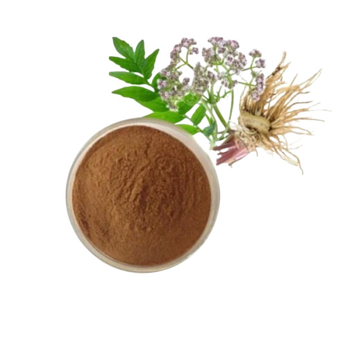 Valerian Root Extracts Powder - Purity: 100% Pure