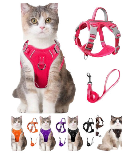 Cat Harness With 1.5M Leash - Application: ]