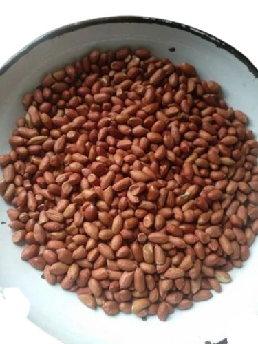 Raw Peanut Seed - Color: Brown