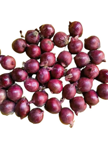Red Onions - Chopped Round Vegetable 100% Purity | Very Good Quality Ideal for Cooking Store in Cool & Dry Places Shelf Life: 1 Month