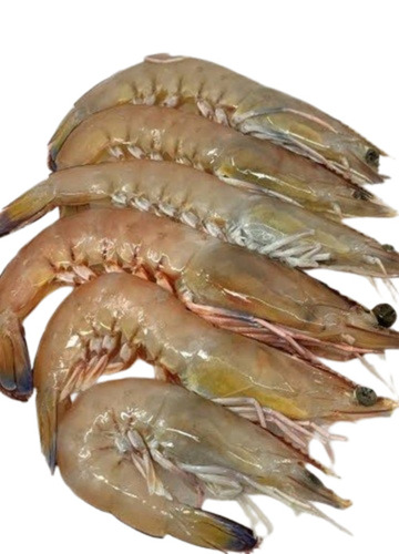 Fresh Prawn