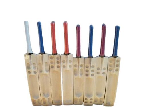 Full-Size Kashmir Willow Cricket Bat - Age Group: Adults