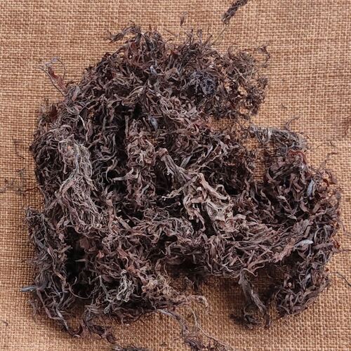 High Quality 100% Pure Organic Dried Sargassum Seaweed Bulk Packaging from Vietnam supplier