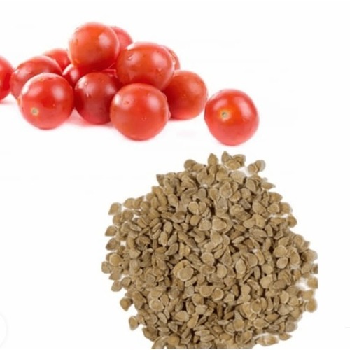 Tomato Seeds - Admixture (%): Y