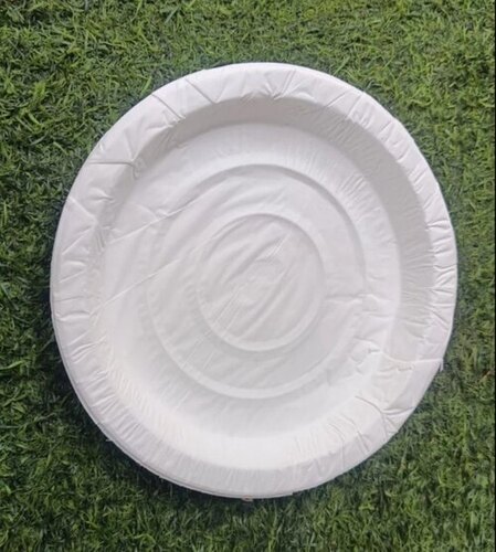 6 Inch Round Paper Plate