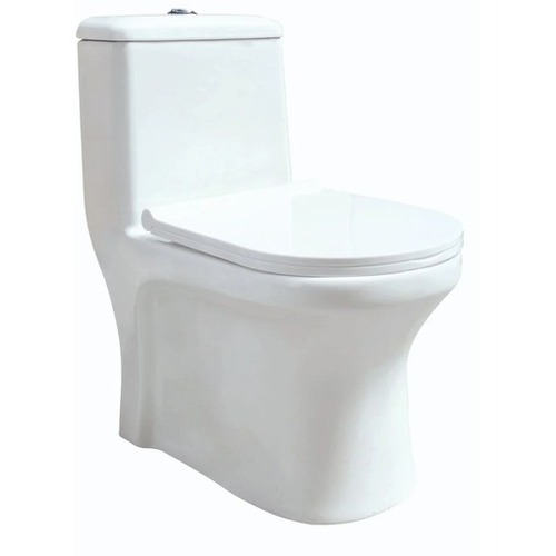 Western Toilet Seat - Application: Paint