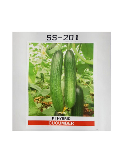 Hybrid Cucumber Seeds Ss-201