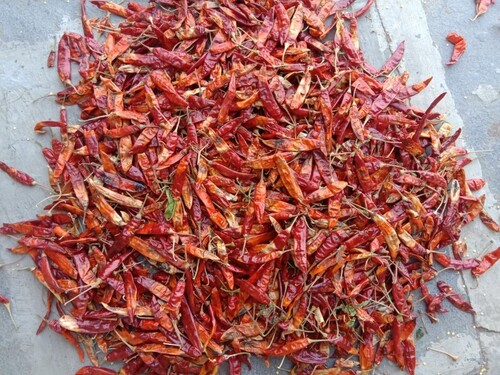 334 Fatki Dry Red Chilli - Physical Form: Whole