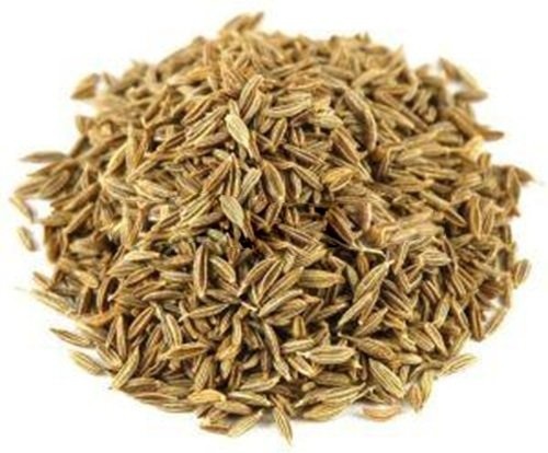 Common Cumin Seeds - Color: -