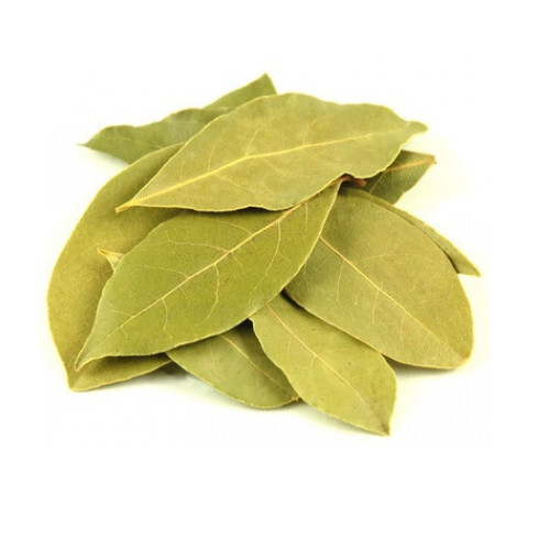 Bay Leaf - Color: Brownish Green
