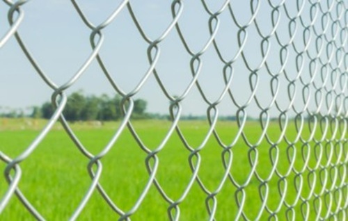 Chain Link Fencings