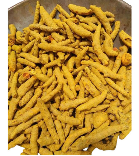 Turmeric Finger Europe Grade