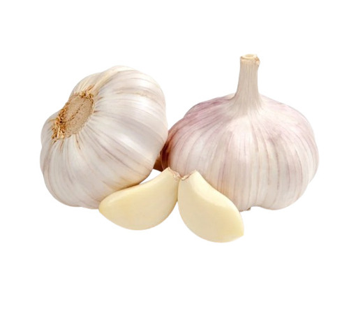 Fresh Garlic - Shape: Oval