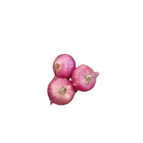 Fresh Red Onion