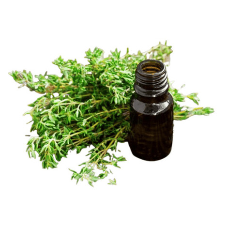 Thyme Oil - Color: Black