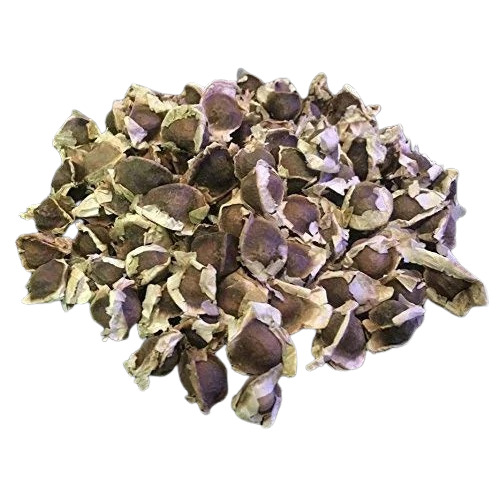 Drumstick Seeds (Moringa oleifera)