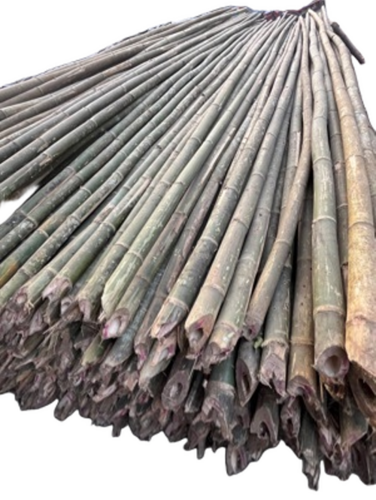 Round Bamboo Pole - Size: 24 Feet
