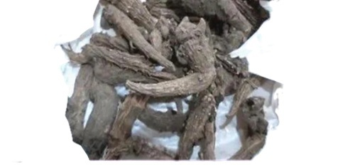 Organic Aconitum Heterophyllum - Dried Roots of Plant, Black Color, Anti-Diabetes Treatment