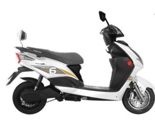 Electric Scooter Erick - Charger Type: Na