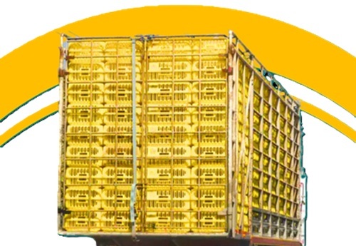 Plastic Poultry Crates - Material: Bamboo