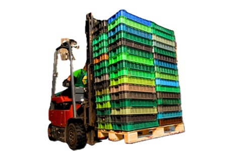 Fruits Plastic Crate - Metal Type: Aluminum