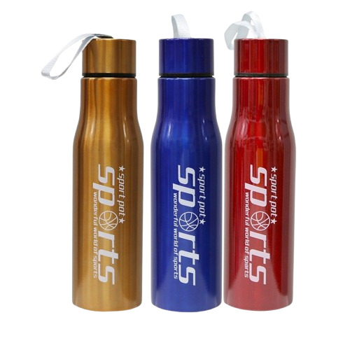 Stainless Steel Water Bottle  - Color: Xxx