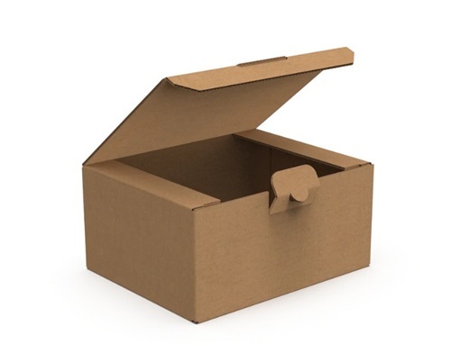 Offset Printing Boxes - 3 Ply Square Corrugated Paper 8x8x5 Inches Brown Color | Fully Recycled Material Silkscreen Printing Holds 6 Bottles
