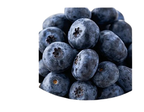 Blueberry Fruits - Standard Size Black Color Round Shape | 100% Maturity Non-Peeled Glutinous Sweet Taste 15 Days Shelf Life