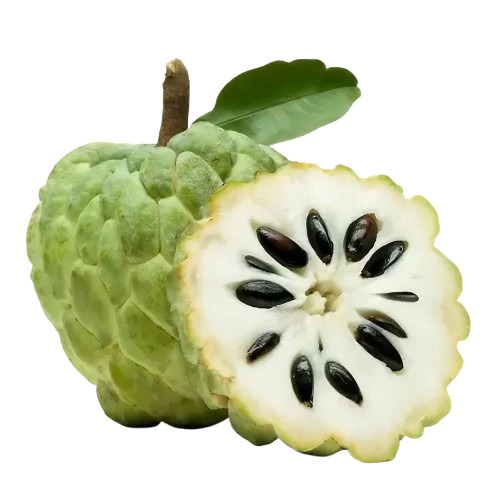 Custard Apple - Fresh and Very Good Quality, Green Color, Round Shape, Standard Size, Non-Glutinous, Shelf Life 15 Days, Sweet Taste