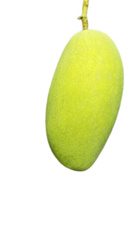 Dashehari Mango - Organic, Standard Size, Sweet Taste , Green Color, Oval Shape, Whole Fruit, 15 Days Shelf Life, 100% Maturity