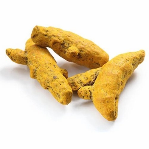 Turmeric Finger - Yellow Shatavari Plant, Solid Form, A Grade | 100% Pure, Organic, Health Friendly, Preservatives Free