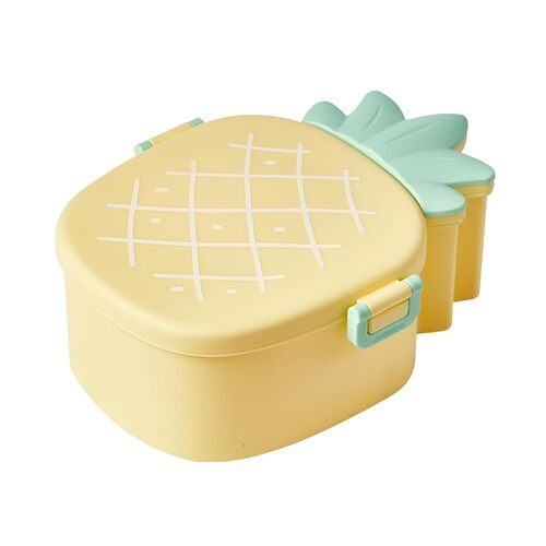 Plastic Lunch Box