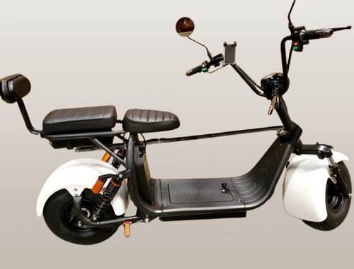 Citycoco Electric Scooter