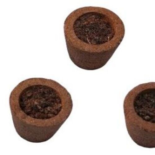 Sambrani Cup - Color: Any